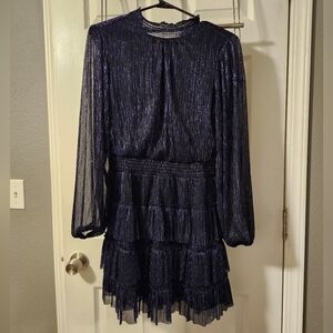 EUC Express Holiday Dress